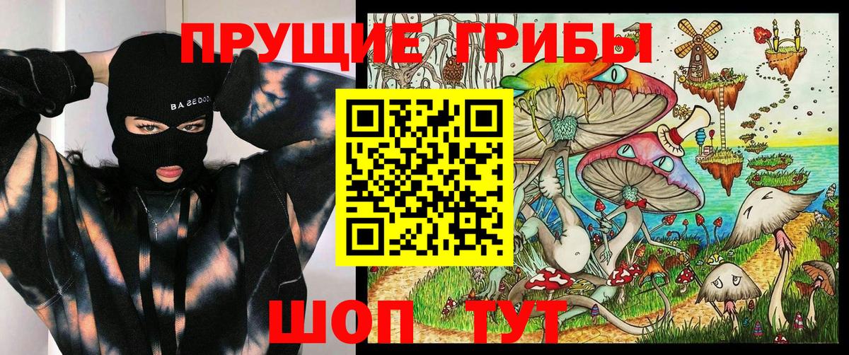 Галлюциногенные грибы MAGIC MUSHROOMS  Вход с VPN  Заринск 