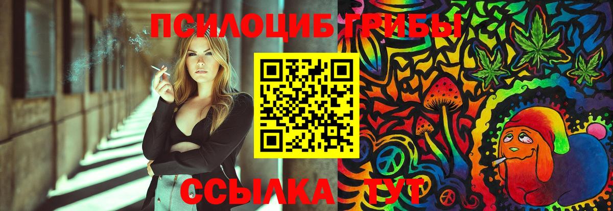 Псилоцибиновые грибы Psilocybine cubensis Заринск